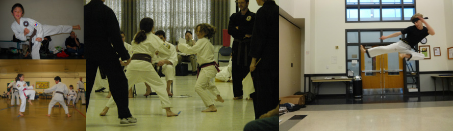 Taekwondo white top belt test